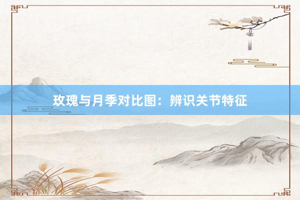 玫瑰与月季对比图：辨识关节特征